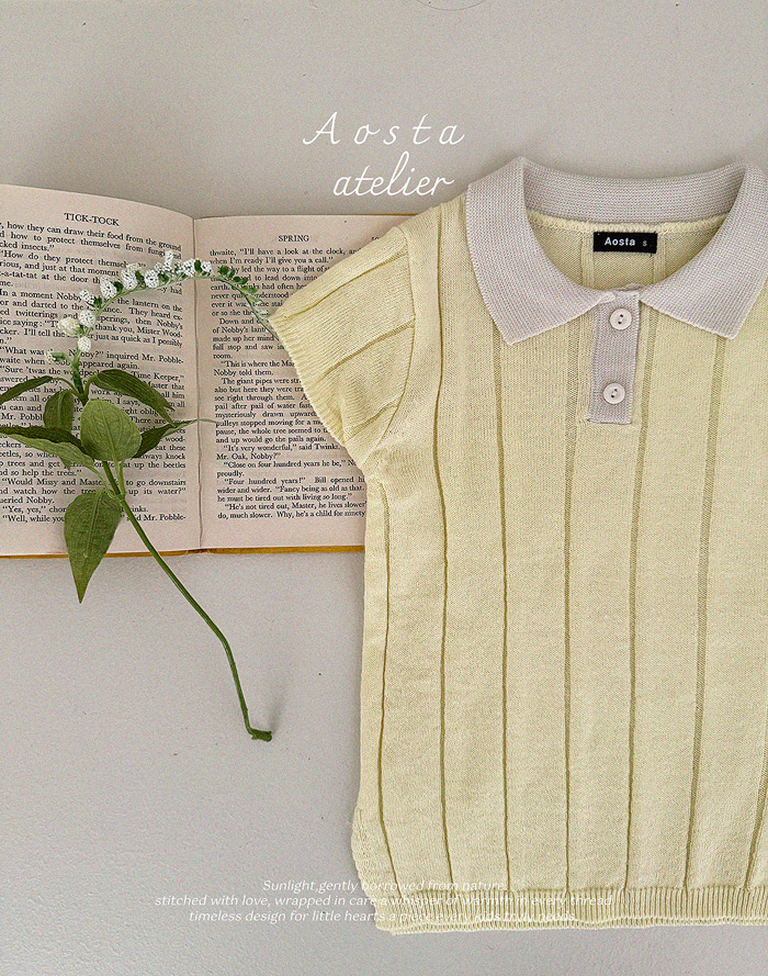 SS knit collor dress