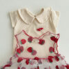 SS Lace strawberry dress