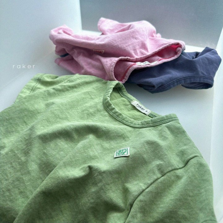 SS 피그먼트t